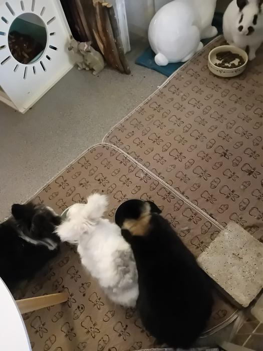 Klicke auf die Grafik f�r eine gr��ere Ansicht

Name:	IMG-20260412-WA0055.jpg
Hits:	0
Gr��e:	194,2 KB
ID:	216616