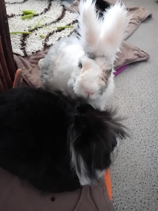 Klicke auf die Grafik f�r eine gr��ere Ansicht

Name:	IMG-20260412-WA0048.jpg
Hits:	0
Gr��e:	170,2 KB
ID:	216618