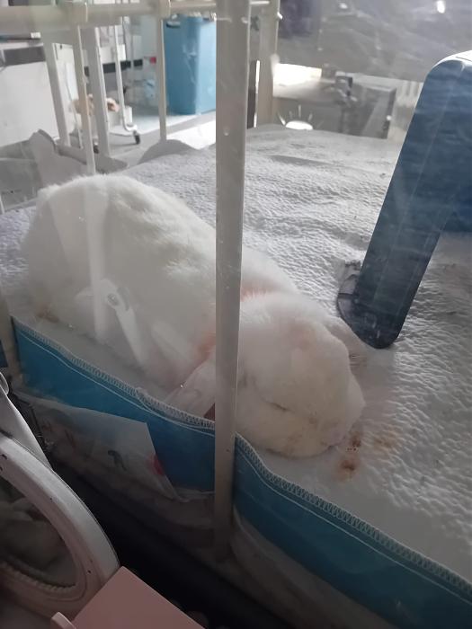 Klicke auf die Grafik f�r eine gr��ere Ansicht

Name:	IMG-20260412-WA0057.jpg
Hits:	0
Gr��e:	154,5 KB
ID:	216620