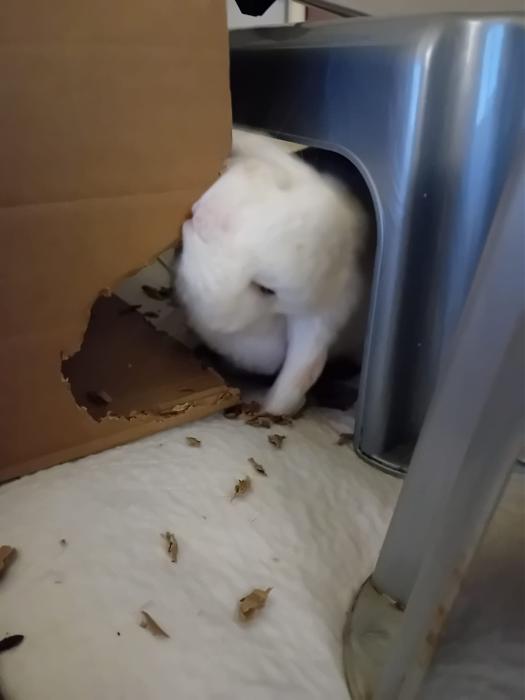 Klicke auf die Grafik f�r eine gr��ere Ansicht

Name:	IMG-20260412-WA0054.jpg
Hits:	0
Gr��e:	100,7 KB
ID:	216621