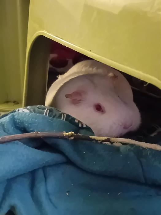 Klicke auf die Grafik f�r eine gr��ere Ansicht

Name:	IMG-20260412-WA0053.jpg
Hits:	0
Gr��e:	108,8 KB
ID:	216622