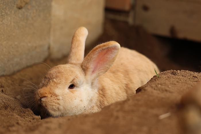 Klicke auf die Grafik f�r eine gr��ere Ansicht

Name:	Betty.jpg
Hits:	0
Gr��e:	125,3 KB
ID:	216624