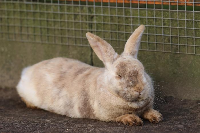 Klicke auf die Grafik f�r eine gr��ere Ansicht

Name:	Betty2.jpg
Hits:	0
Gr��e:	182,3 KB
ID:	216625