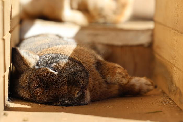 Klicke auf die Grafik f�r eine gr��ere Ansicht

Name:	Brownie.jpg
Hits:	0
Gr��e:	158,2 KB
ID:	216627