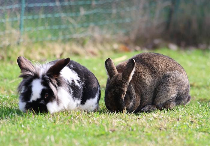 Klicke auf die Grafik f�r eine gr��ere Ansicht

Name:	BountyBrownie.jpg
Hits:	0
Gr��e:	166,1 KB
ID:	216628