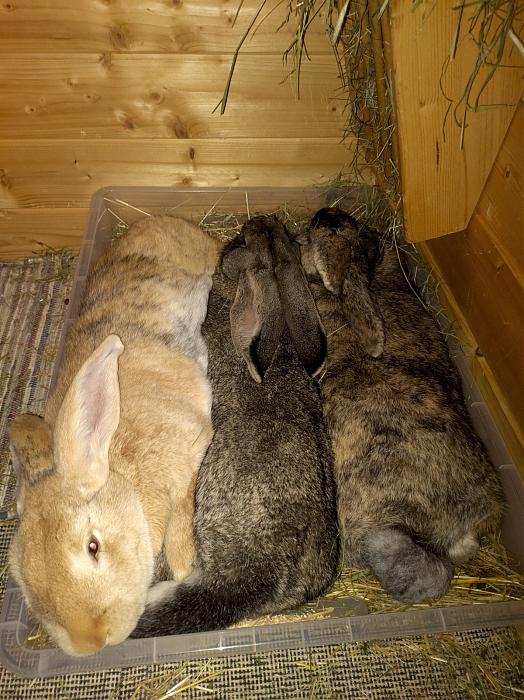 Klicke auf die Grafik f�r eine gr��ere Ansicht

Name:	IMG_20260213_2.jpg
Hits:	0
Gr��e:	283,7 KB
ID:	216629