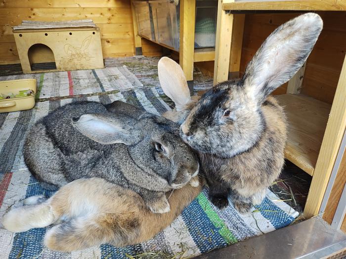 Klicke auf die Grafik f�r eine gr��ere Ansicht

Name:	IMG_20260313_1.jpg
Hits:	0
Gr��e:	182,0 KB
ID:	216630