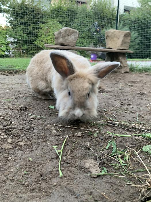 Klicke auf die Grafik f�r eine gr��ere Ansicht

Name:	IMG_2957.jpg
Hits:	0
Gr��e:	66,0 KB
ID:	216631