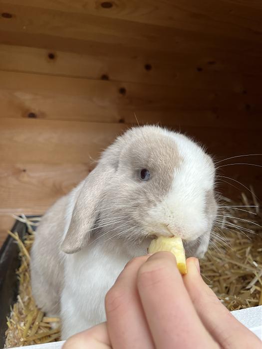 Klicke auf die Grafik f�r eine gr��ere Ansicht

Name:	IMG_3624.jpg
Hits:	0
Gr��e:	26,3 KB
ID:	216632