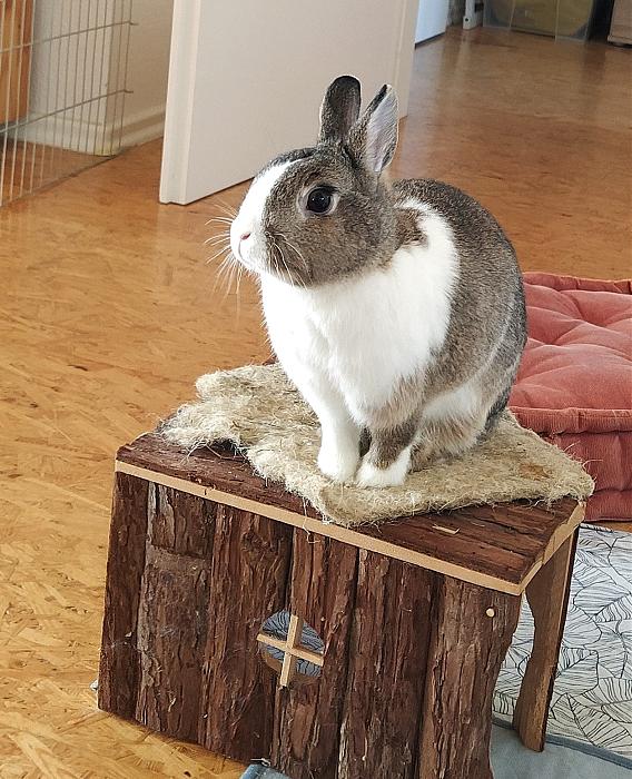 Klicke auf die Grafik f�r eine gr��ere Ansicht

Name:	IMG-20260320-WA0013.jpg
Hits:	0
Gr��e:	292,9 KB
ID:	216634