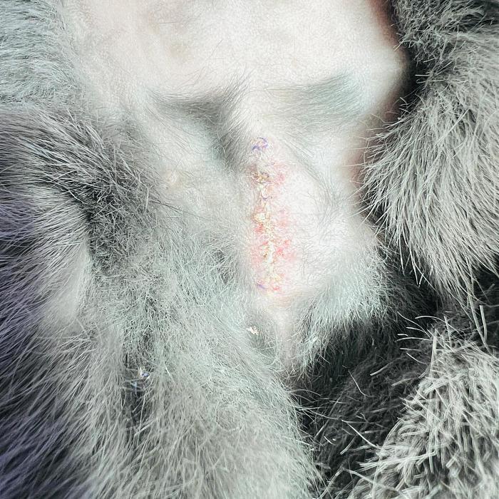 Klicke auf die Grafik f�r eine gr��ere Ansicht

Name:	e7d9adcd-235a-4ac7-85cf-8c28f21ed4d3.jpg
Hits:	0
Gr��e:	80,5 KB
ID:	216635