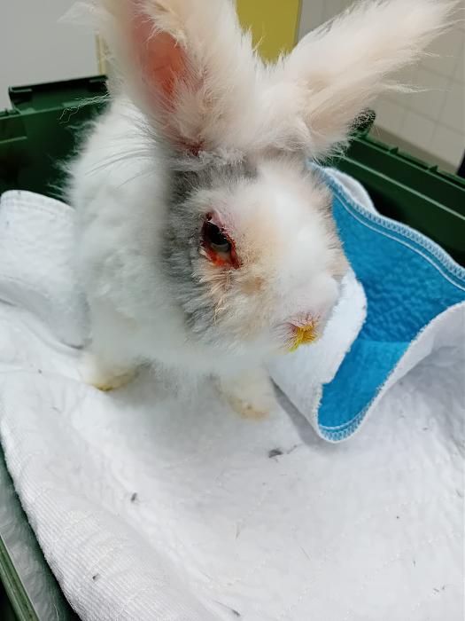 Klicke auf die Grafik f�r eine gr��ere Ansicht

Name:	IMG-20260419-WA0061.jpg
Hits:	0
Gr��e:	187,6 KB
ID:	216642