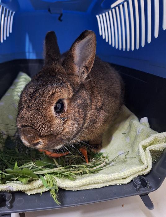 Klicke auf die Grafik f�r eine gr��ere Ansicht

Name:	Screenshot_20260420_223547_Gallery.jpg
Hits:	0
Gr��e:	173,0 KB
ID:	216666