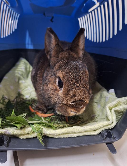 Klicke auf die Grafik f�r eine gr��ere Ansicht

Name:	Screenshot_20260420_223611_Gallery.jpg
Hits:	0
Gr��e:	158,8 KB
ID:	216667