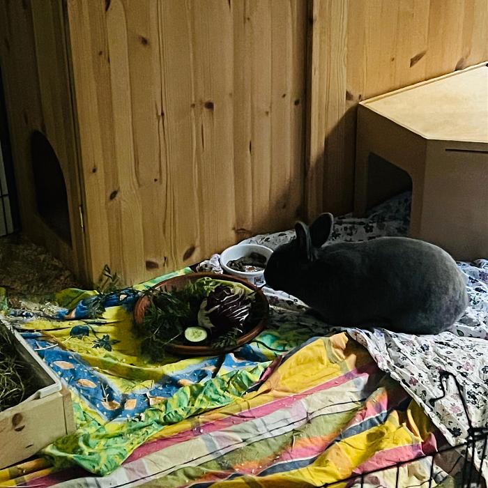 Klicke auf die Grafik f�r eine gr��ere Ansicht

Name:	17fc27b3-84bf-49df-9864-ab5ec5de1ce5.jpg
Hits:	0
Gr��e:	63,4 KB
ID:	216670