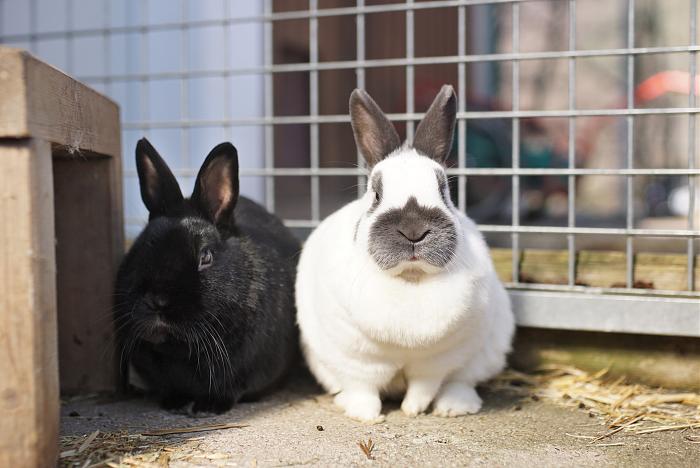 Klicke auf die Grafik f�r eine gr��ere Ansicht

Name:	DSC01465.jpg
Hits:	0
Gr��e:	308,7 KB
ID:	216678