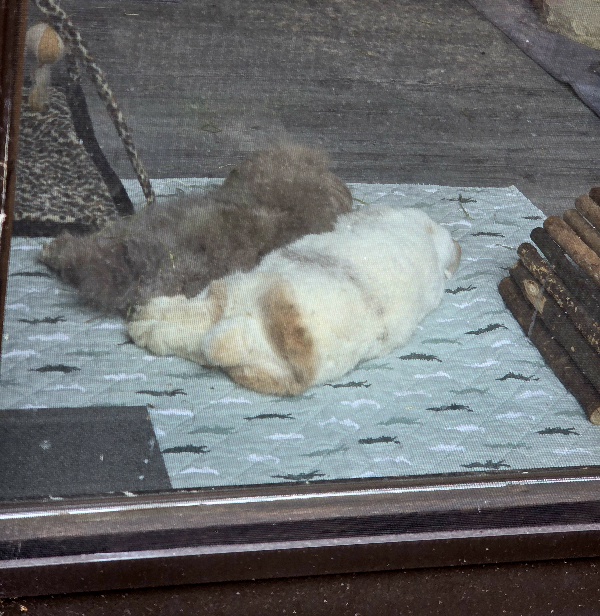 Klicke auf die Grafik f�r eine gr��ere Ansicht

Name:	20260420_170010.jpg
Hits:	23
Gr��e:	197,5 KB
ID:	216679