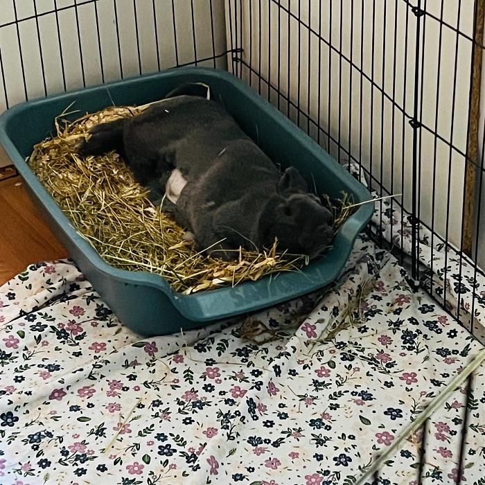 Klicke auf die Grafik f�r eine gr��ere Ansicht

Name:	231e9792-6680-4a04-b9b7-593c4801e7fb.jpg
Hits:	0
Gr��e:	93,7 KB
ID:	216681