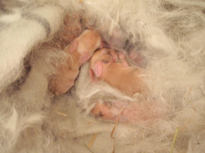 Klicke auf die Grafik fr eine grere Ansicht

Name:	PC180158.JPG
Hits:	9
Gre:	51,3 KB
ID:	31346