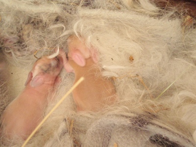 Klicke auf die Grafik fr eine grere Ansicht

Name:	PC180160.JPG
Hits:	8
Gre:	61,2 KB
ID:	31347