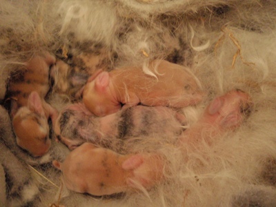 Klicke auf die Grafik fr eine grere Ansicht

Name:	PC180162.JPG
Hits:	8
Gre:	58,9 KB
ID:	31348