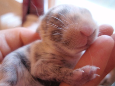 Klicke auf die Grafik fr eine grere Ansicht

Name:	PC200164.JPG
Hits:	8
Gre:	45,6 KB
ID:	31417