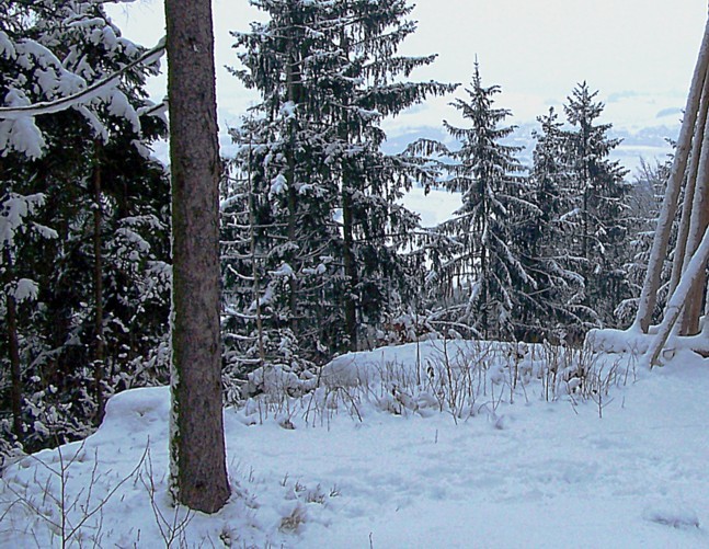 Klicke auf die Grafik fr eine grere Ansicht

Name:	gipfel 1.jpg
Hits:	55
Gre:	142,5 KB
ID:	31893