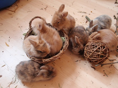 Klicke auf die Grafik fr eine grere Ansicht

Name:	P1070424.JPG
Hits:	11
Gre:	65,4 KB
ID:	32550