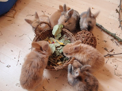 Klicke auf die Grafik fr eine grere Ansicht

Name:	P1070406.JPG
Hits:	10
Gre:	67,9 KB
ID:	32551