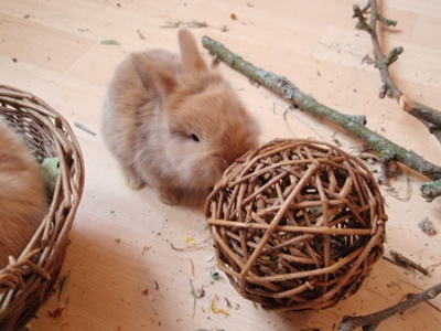 Klicke auf die Grafik fr eine grere Ansicht

Name:	P1070422.JPG
Hits:	10
Gre:	66,5 KB
ID:	32553