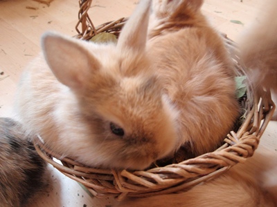 Klicke auf die Grafik fr eine grere Ansicht

Name:	P1070423.JPG
Hits:	10
Gre:	59,9 KB
ID:	32555