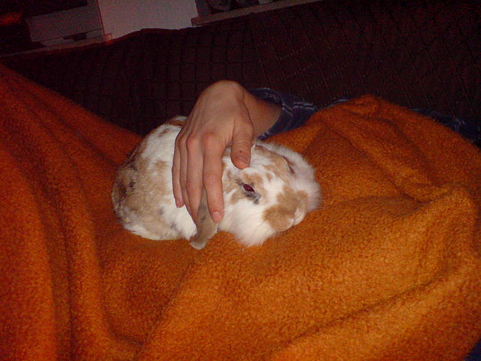 Klicke auf die Grafik fr eine grere Ansicht

Name:	DSC08788.jpg
Hits:	3
Gre:	60,8 KB
ID:	33745