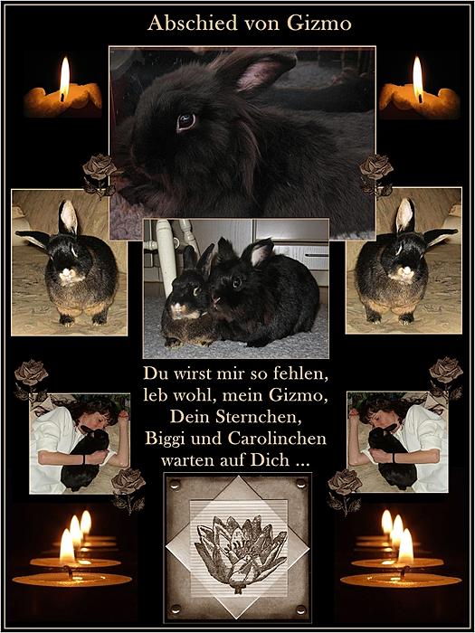 Klicke auf die Grafik fr eine grere Ansicht

Name:	Gizmo 5 NN.jpg
Hits:	5
Gre:	48,5 KB
ID:	35340