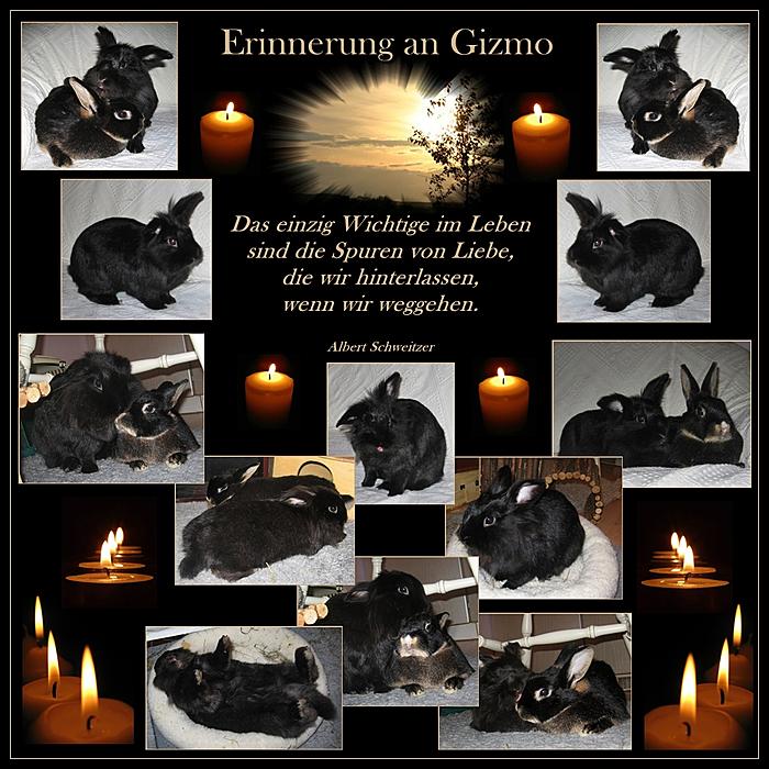 Klicke auf die Grafik fr eine grere Ansicht

Name:	Gismo 2Coll.jpg
Hits:	10
Gre:	64,3 KB
ID:	35343