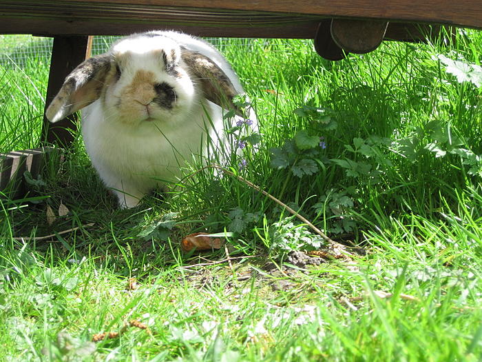 Klicke auf die Grafik fr eine grere Ansicht

Name:	Mai 2012 9.jpg
Hits:	0
Gre:	121,8 KB
ID:	37244
