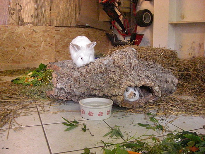 Klicke auf die Grafik fr eine grere Ansicht

Name:	Kopie von ZF 18.jpg
Hits:	0
Gre:	91,2 KB
ID:	41791