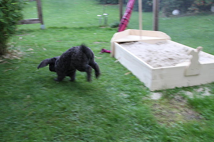 Klicke auf die Grafik fr eine grere Ansicht

Name:	IMG_9093.jpg
Hits:	0
Gre:	61,8 KB
ID:	45321
