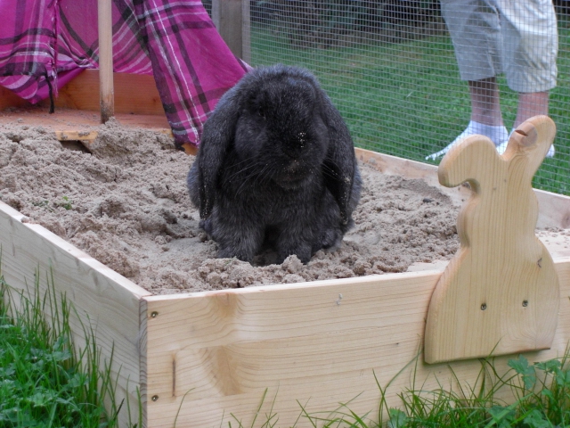 Klicke auf die Grafik fr eine grere Ansicht

Name:	Tierchen und Flohmarkt 012.jpg
Hits:	0
Gre:	58,3 KB
ID:	47087