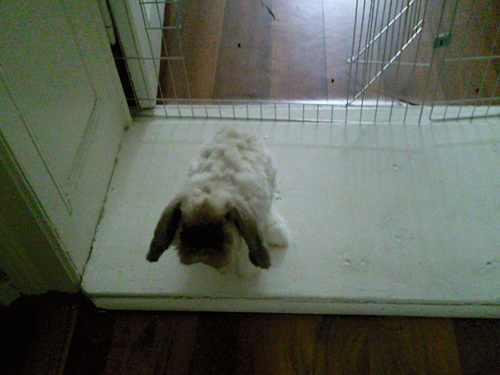 Klicke auf die Grafik fr eine grere Ansicht

Name:	Foto0352.jpg
Hits:	0
Gre:	48,5 KB
ID:	50872