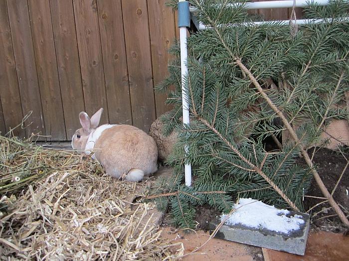 Klicke auf die Grafik f�r eine gr��ere Ansicht

Name:	1.jpg
Hits:	0
Gr��e:	99,3 KB
ID:	54470