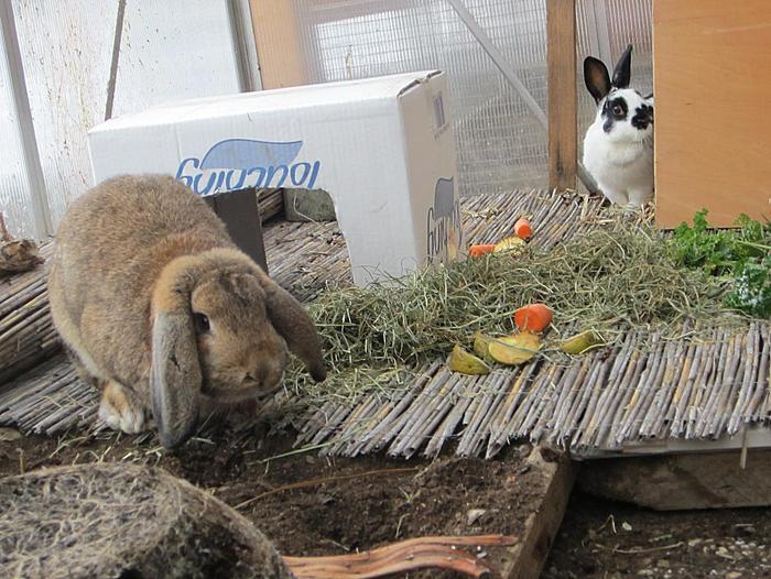 Klicke auf die Grafik f�r eine gr��ere Ansicht

Name:	7.jpg
Hits:	0
Gr��e:	81,3 KB
ID:	54471