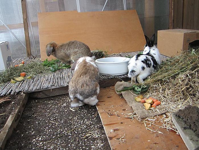 Klicke auf die Grafik f�r eine gr��ere Ansicht

Name:	8.jpg
Hits:	0
Gr��e:	92,2 KB
ID:	54472