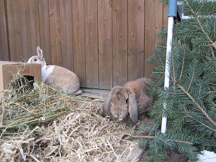 Klicke auf die Grafik f�r eine gr��ere Ansicht

Name:	2.jpg
Hits:	0
Gr��e:	93,9 KB
ID:	54473