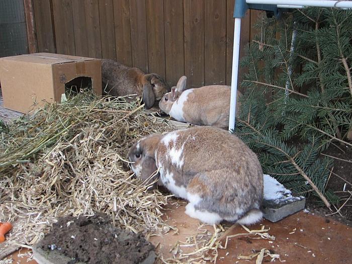 Klicke auf die Grafik f�r eine gr��ere Ansicht

Name:	6.jpg
Hits:	0
Gr��e:	87,5 KB
ID:	54474