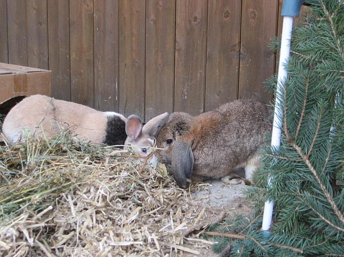 Klicke auf die Grafik f�r eine gr��ere Ansicht

Name:	4.jpg
Hits:	0
Gr��e:	80,7 KB
ID:	54475