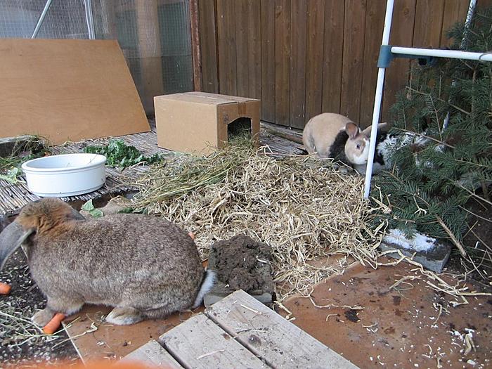 Klicke auf die Grafik f�r eine gr��ere Ansicht

Name:	12.jpg
Hits:	0
Gr��e:	96,2 KB
ID:	54480