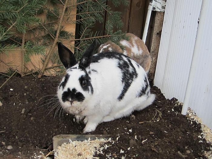 Klicke auf die Grafik f�r eine gr��ere Ansicht

Name:	11.jpg
Hits:	0
Gr��e:	74,1 KB
ID:	54481