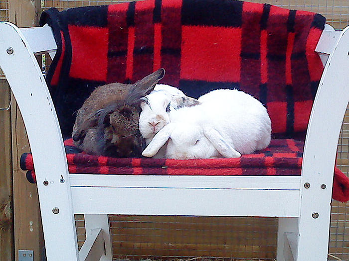 Klicke auf die Grafik fr eine grere Ansicht

Name:	DSC00665.jpg
Hits:	1
Gre:	84,2 KB
ID:	55328