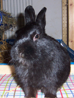 Klicke auf die Grafik fr eine grere Ansicht

Name:	timmi.jpg
Hits:	151
Gre:	44,3 KB
ID:	5541