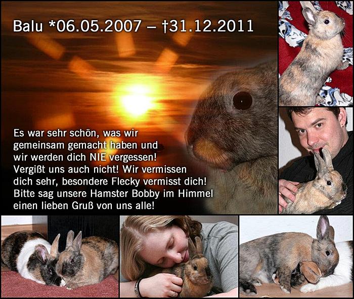 Klicke auf die Grafik fr eine grere Ansicht

Name:	383196_2724055514760_1741786974_n.jpg
Hits:	1
Gre:	86,4 KB
ID:	56271